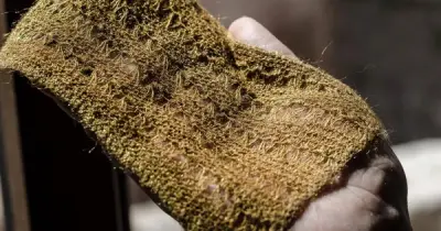 Công nghệ hồi sinh 'vàng biển' thất truyền 2.000 năm: Ánh sáng từ cấu trúc nano