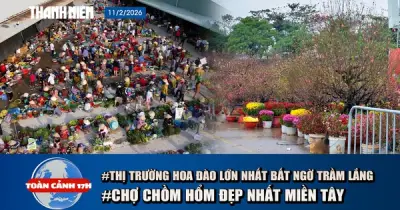 Chợ chồm hổm Cần Thơ đẹp mộc mạc, MV 600 triệu view biến mất trên YouTube