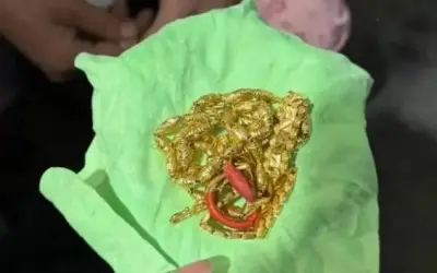 Cô gái vứt nhầm vàng 373 triệu đồng khi dọn nhà đón Tết, cảnh sát tìm lại được