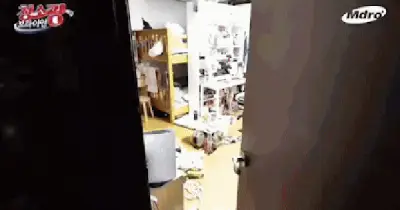 Nam Ca Sĩ Brian Joo Sốc Với Ký Túc Xá 'Địa Ngục Trần Gian' Của Nhóm Nhạc Nữ Cignature