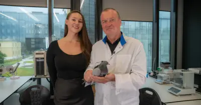 Startup Nga gắn chip não điều khiển chim bồ câu thành drone giám sát sinh học