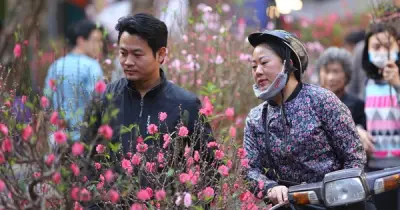 Thời tiết Tết Nguyên Đán diễn biến bất ngờ: Miền Bắc đón đợt rét tăng cường ngay đầu năm mới