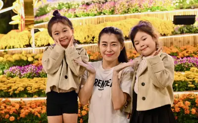 Đường Hoa Xuân Tuy Hòa Rực Rỡ Khai Mạc, Thu Hút Hàng Ngàn Người Dân Và Du Khách