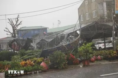 UNESCO và Nhật Bản hỗ trợ Việt Nam tăng cường hệ thống cảnh báo sớm thiên tai