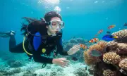 Bí Ẩn Dưới Nước: Loài Vật Sống Trong Nước Nhưng Không Hề Biết Bơi