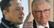 Bill Gates Lỗ Hơn 10 Tỷ USD Vì Bán Khống Tesla, Elon Musk Hả Hê Công Kích