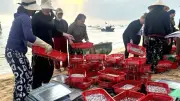 Bến cá Nhân Trạch nhộn nhịp sau Tết, ngư dân Quảng Trị trúng đậm mực tươi