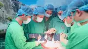 Bệnh viện Phổi Trung ương lập kỳ tích ghép phổi 5 ca thành công liên tiếp