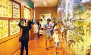 Bảo tàng thiên nhiên Việt Nam: Điểm sáng du lịch giáo dục-sinh thái năm 2026