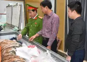 Bắt giữ hai đối tượng mua hổ 400 kg nấu cao bán dịp Tết tại Thanh Hóa
