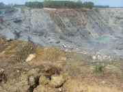 Đình chỉ tịch thu tài sản, doanh nghiệp bị phạt truy thu thuế hơn 3,5 tỷ đồng