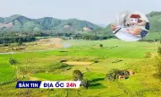 Có nên mua nhà đất sau Tết Nguyên đán? Quy trình giao dịch đất vỡ lòng