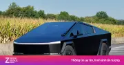 Cổ phiếu Tesla tăng nhẹ sau khi ra mắt Cybertruck giá rẻ và xác nhận tiến độ Cybercab