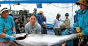 Các địa phương khẩn trương chuẩn bị đón đoàn thanh tra EC về chống khai thác IUU