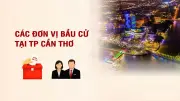 Các đơn vị bầu cử đại biểu Quốc hội tại thành phố Cần Thơ: Thông tin chi tiết