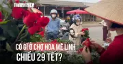 Chợ hoa Mê Linh, Đà Lạt 29 Tết: 100 nghìn mua được 4 chậu hoa tươi thắm