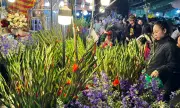 Chợ hoa Quảng An Hà Nội nhộn nhịp đêm cuối năm, giá hoa tăng mạnh