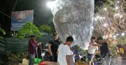 Chợ Hoa Tết Long Xuyên: Đại Gia Săn Mai 'Khủng' Xuyên Đêm, Nhà Vườn Livestream Giải Cứu Hàng