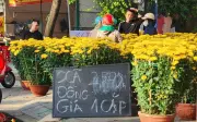 Chợ hoa Tết Quảng Ngãi ế ẩm, tiểu thương đồng loạt xả hàng nhưng vẫn khó bán
