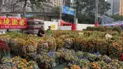 Chợ Hoa Xuân Victoria Park Hồng Kông Tấp Nập Người Dân Đón Tết