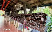 Chiêm ngưỡng bảo tàng gỗ lũa độc đáo giữa dòng sông Tiền