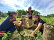 Chính sách đất đai cho dân tộc thiểu số, phát hiện chim quý và nhu cầu tuyển dụng lao động lớn