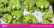 Chuối Xanh Lộc Tài 'Cháy Hàng' Dịp Tết Bính Ngọ, Giá Lên Đến 700.000 Đồng/Nải Tại Hà Tĩnh