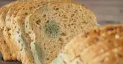 Chuyên gia cảnh báo: Bánh mì có mốc, đừng tiếc của mà hại sức khỏe