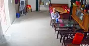 Clip cụ bà cô đơn sau Tết gây xúc động mạnh, dân mạng chia sẻ nỗi lòng thương nhớ