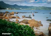 Côn Đảo đẩy mạnh phát triển, hướng tới trở thành điểm đến du lịch mang tầm quốc tế