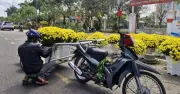 Công việc cuối năm níu chân, nhiều người Đà Nẵng đợi 29 Tết mới mua cây cảnh