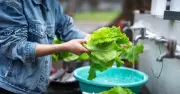 Cảnh báo: 4 cách rửa rau phổ biến nhưng phản tác dụng, vừa mất dinh dưỡng vừa không loại bỏ thuốc trừ sâu