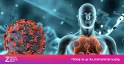 Cảnh báo: Dấu hiệu mơ hồ báo hiệu bệnh gan giai đoạn đầu cần nhận biết sớm