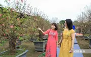 Cảnh báo đột quỵ dịp Tết 2026: Chuyên gia tim mạch chỉ 5 điểm cần lưu ý