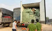 Cảnh sát TP.HCM ngăn chặn 29 tấn nầm lợn, lạp xưởng 'bẩn' sắp bán ra thị trường