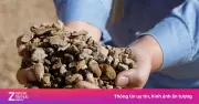 Cuộc Chiến Kim Loại Hiếm: Góc Nhìn Mới Về Mặt Trái Của Cách Mạng Xanh