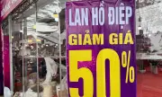Cây cảnh, hoa Tết giảm giá mạnh 50% để xả hàng sớm tại Hà Nội
