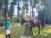 Dịch vụ cưỡi ngựa chụp ảnh tại công viên Tao Đàn thu hút đông đảo du khách