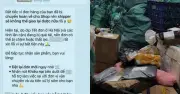 Giao Hàng Nhanh, Viettel Post ứng phó khi chủ shop lo lắng về đơn hàng Tết