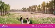 Ecopark Rực Rỡ Sắc Xuân, Trở Thành Điểm Hẹn Du Xuân Hấp Dẫn Khắp Ba Miền