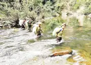 ERPA - Cứu Cánh Tài Chính Cho Bảo Vệ Rừng Nghệ An, Mang Lợi Ích Thiết Thực Cho Cộng Đồng