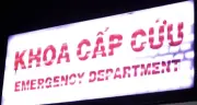 Cả Gia Đình TP.HCM Nhập Viện Sau Bữa Cơm Cá Biển, Nghi Ngộ Độc Ciguatoxin