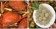Cảnh báo: Những thực phẩm vô tình làm tăng nồng độ cồn trong hơi thở