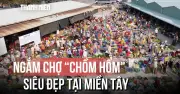 Ghẹ Thăm Chợ Chòm Hòm Siêu Đẹp Tại Miền Tây: Điểm Đến Hấp Dẫn Cho Du Khách