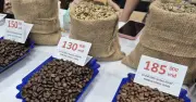 Giá Cà Phê Hồi Phục Mạnh Sau Phiên Bán Tháo, Xuất Khẩu Tháng 1 Tăng Trưởng Ấn Tượng