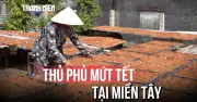 Giữ Vị Ngọt Ngày Xuân: Làng Nghề Mứt Vĩnh Long Tất Bật Vào Mùa Tết
