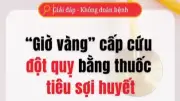 Giờ Vàng Cấp Cứu Đột Quỵ: Thuốc Tiêu Sợi Huyết Cứu Sống Bệnh Nhân