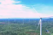 Gia Lai đầu tư gần 4.000 tỷ đồng cho hai nhà máy điện gió lớn