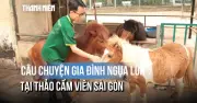 Gia đình ngựa lùn Thảo Cầm Viên Sài Gòn thu hút du khách dịp Tết Bính Ngọ 2026