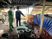 Hà Nội triệt phá hàng loạt vụ vi phạm, đảm bảo an ninh trật tự dịp Tết Bính Ngọ 2026